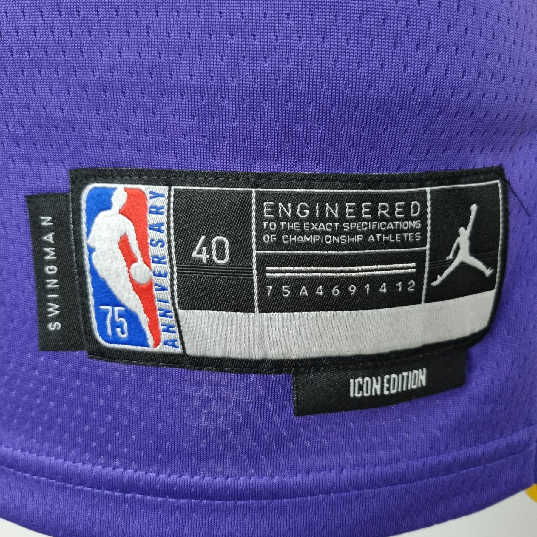 Camisa NBA Lakers #6 Jordan Purple 75° Aniversário  - 23/24