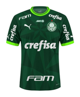 Camisa Palmeiras Home 23/24 Torcedor