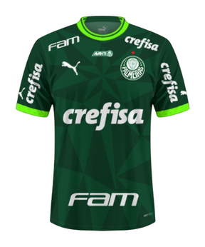 Camisa Palmeiras Home 23/24 Torcedor