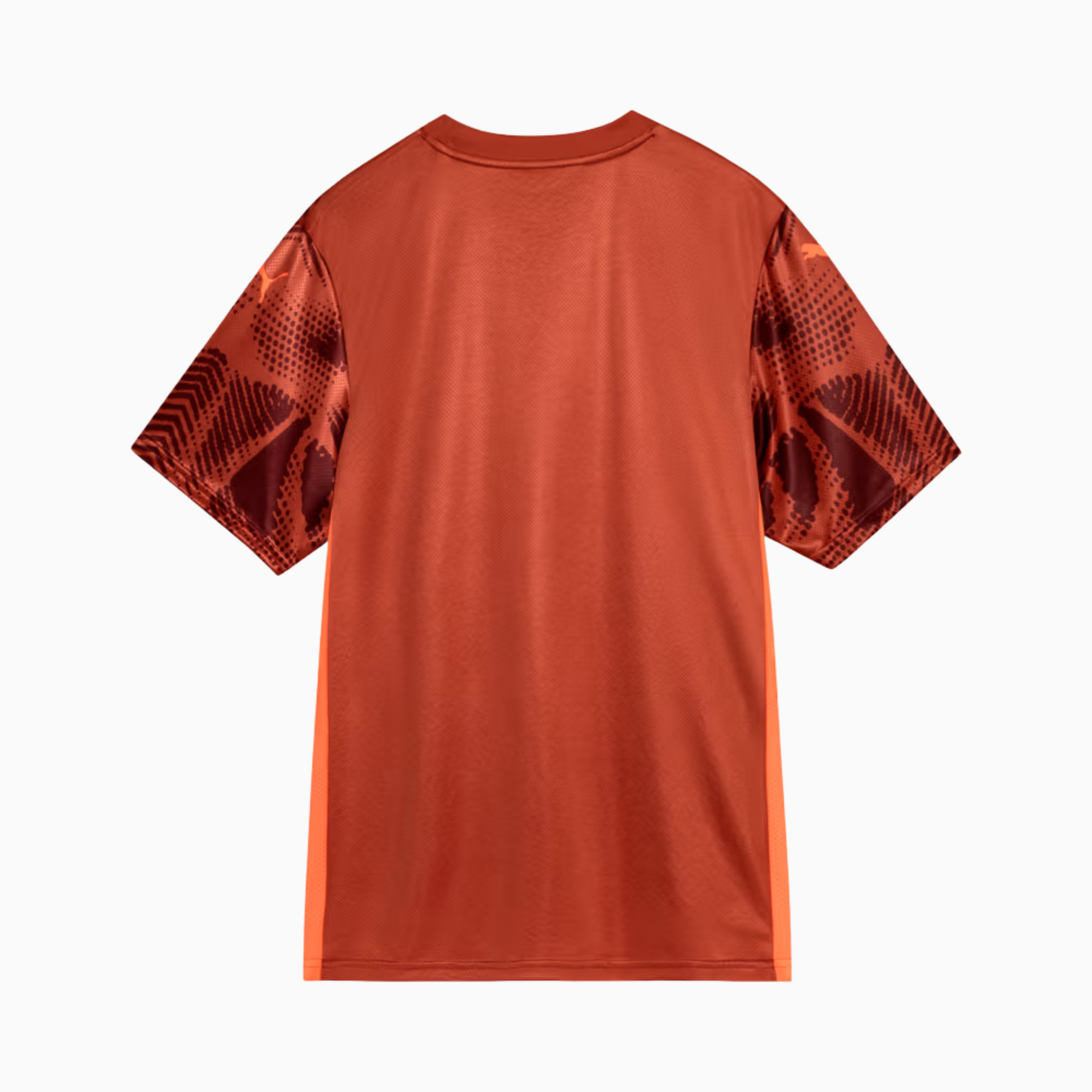 Camisa Goleiro Palmeiras 2025/26 II – Torcedor