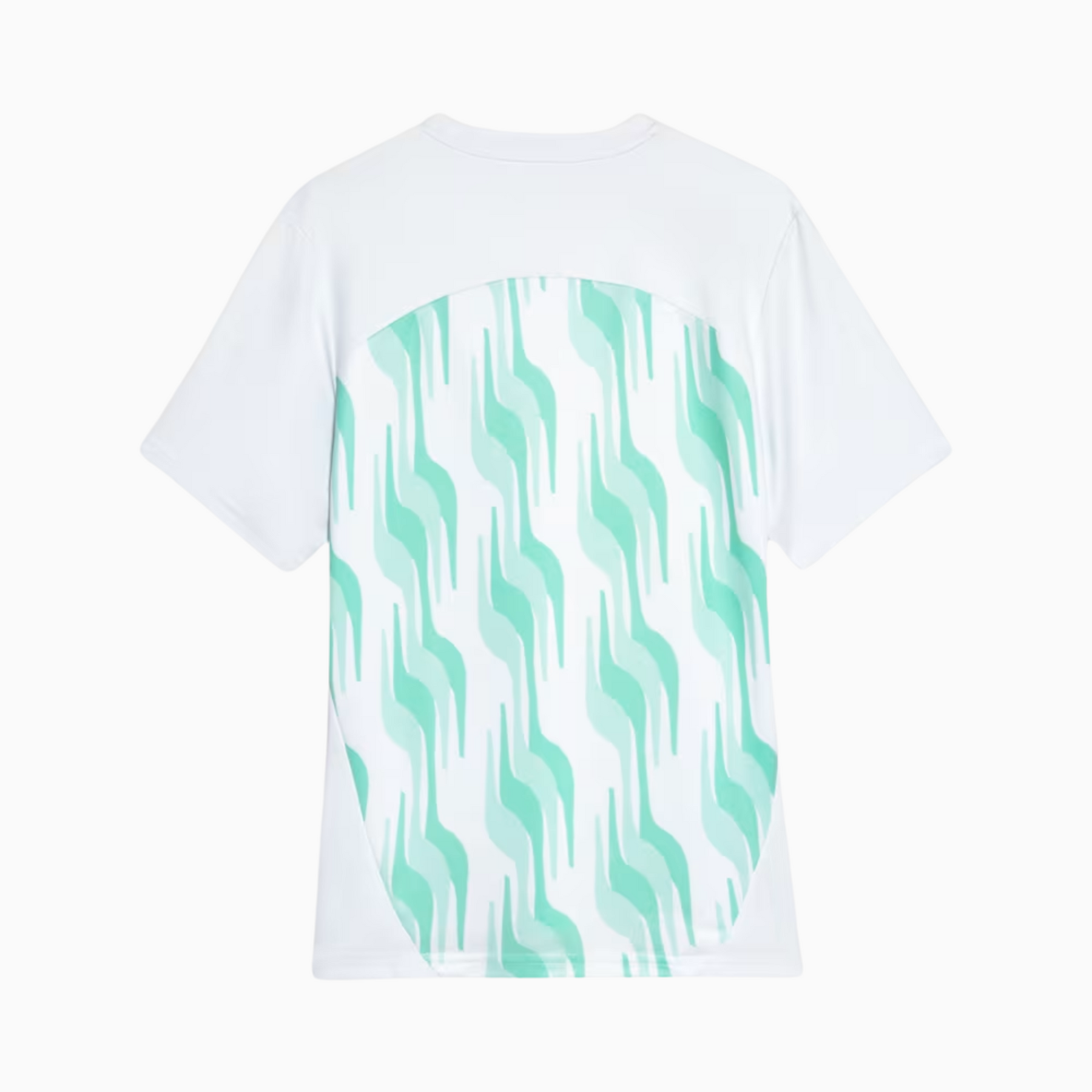 Camisa Puma Palmeiras 2025/26 Pré-Jogo