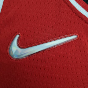 Camisa NBA Chicago Bulls #11 De Rozan - 75° Aniversário Red